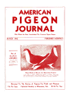 Magazine Cover